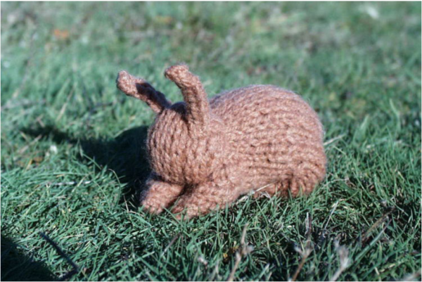 Kit Tricot Lapin avec Aiguilles