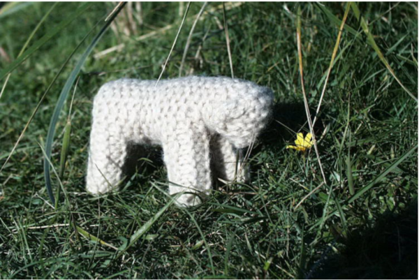 Kit Tricot Mouton avec Aiguilles