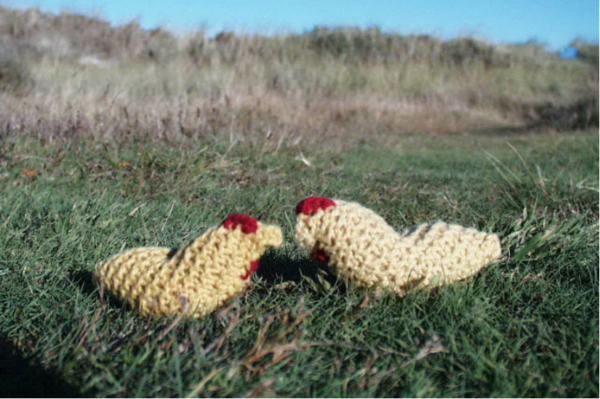 Kit Tricot Poule avec Aiguilles