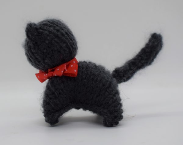 Chat Petit Modèle – Image 2