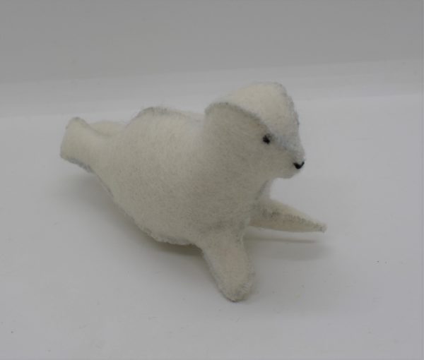 Bébé Phoque – Image 3