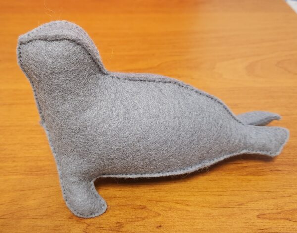 Phoque Gris